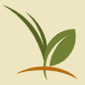 bank logo
