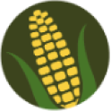 Longview Bank bank logo