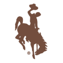 Wyoming Community Bank bank logo