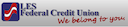 LES Federal Credit Union bank logo