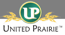 bank logo
