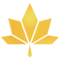 Maple City Savings Bank FSB bank logo