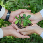 A CD Ratewatcher Find: The 100-Year CD