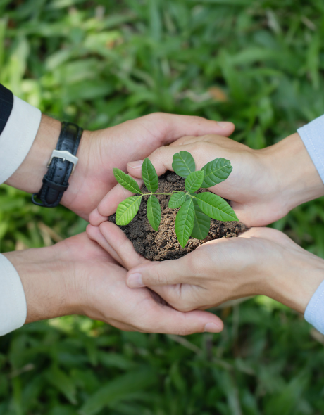 A CD Ratewatcher Find:  The 100-Year CD