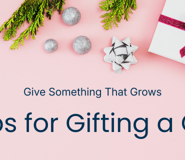 Gifting a Certificate of Deposit: A Thoughtful and Lasting Holiday Present