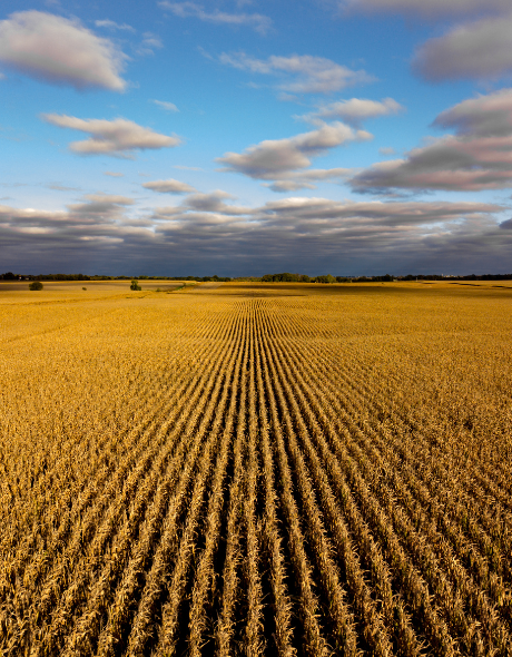 Best CD Rates in Nebraska