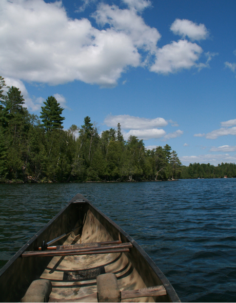 Best CD Rates in Minnesota