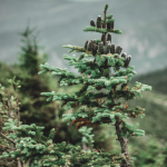 Best CD Rates in New Hampshire