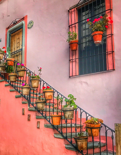 Best CD Rates in New Mexico