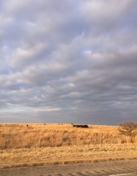 Best CD Rates in Oklahoma