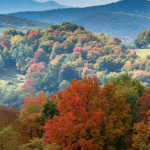 Best CD Rates in West Virginia