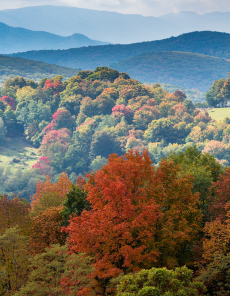 Best CD Rates in West Virginia