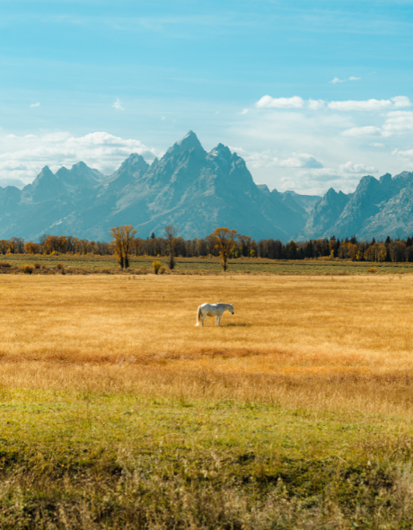 Best CD Rates in Wyoming