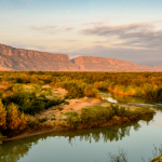 The Best CD Rates in Texas