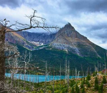 Best CD Rates in Montana