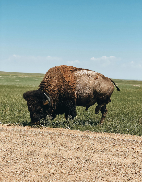 Best CD Rates in North Dakota