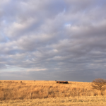 Best CD Rates in Oklahoma