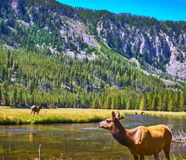 Best CD Rates in Wyoming