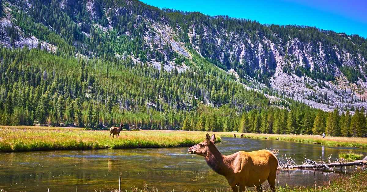 Best CD Rates in Wyoming