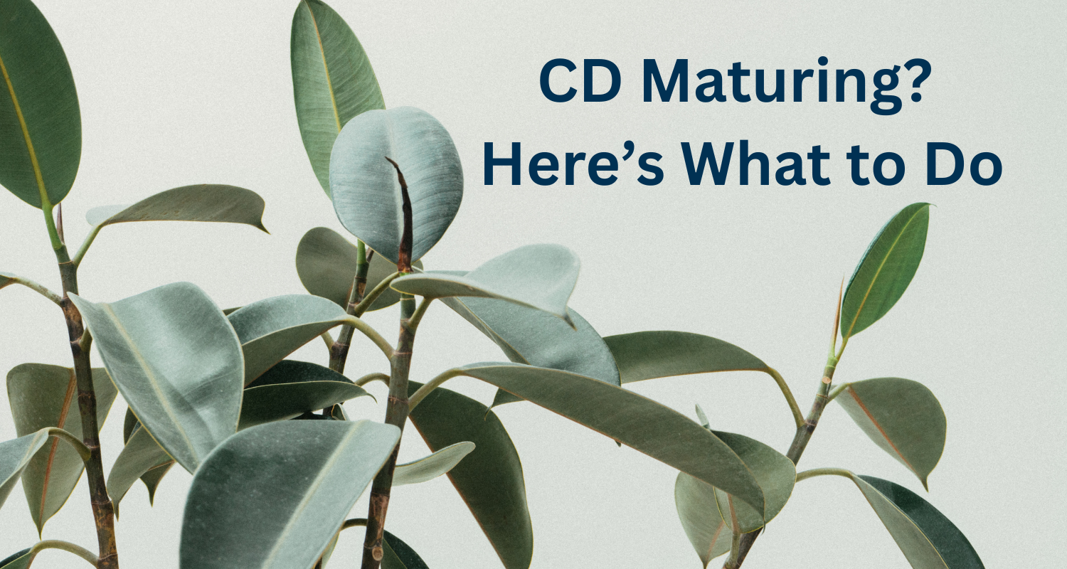 What to Do When Your CD Matures: A Smart Saver’s Guide