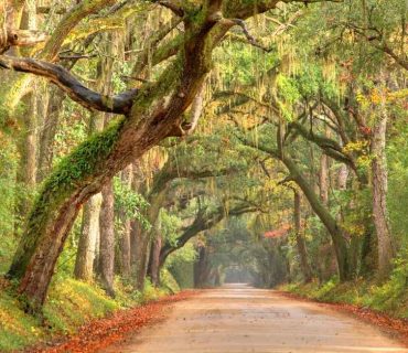 Best CD Rates in South Carolina