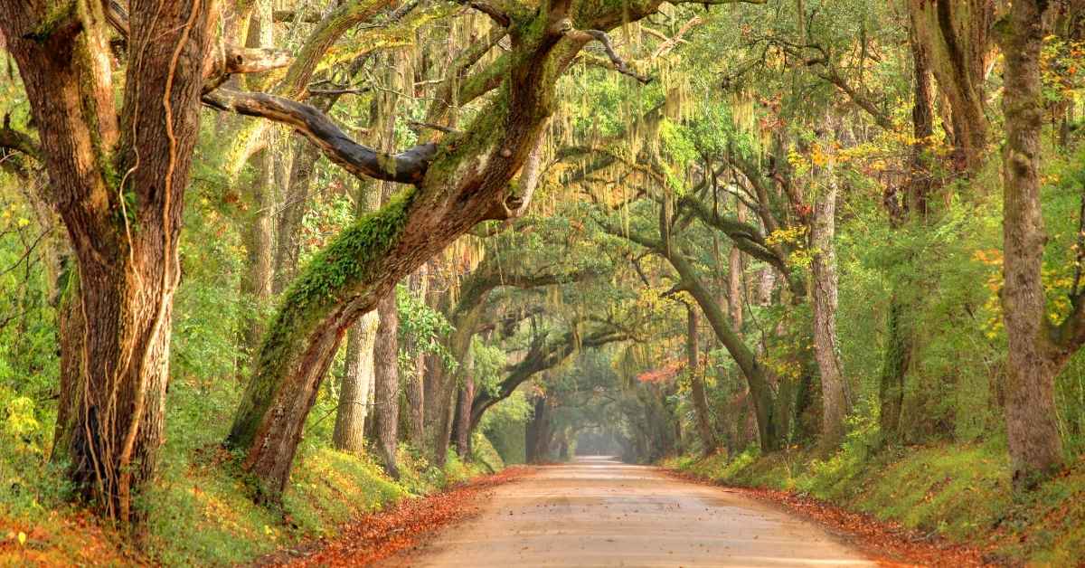 Best CD Rates in South Carolina